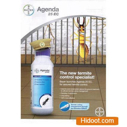 kk pest control services near lawyer pet in ongole - Photo No.5