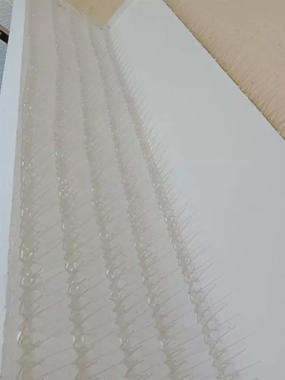 nivedhika safety nets ghorpadi in pune - Photo No.39