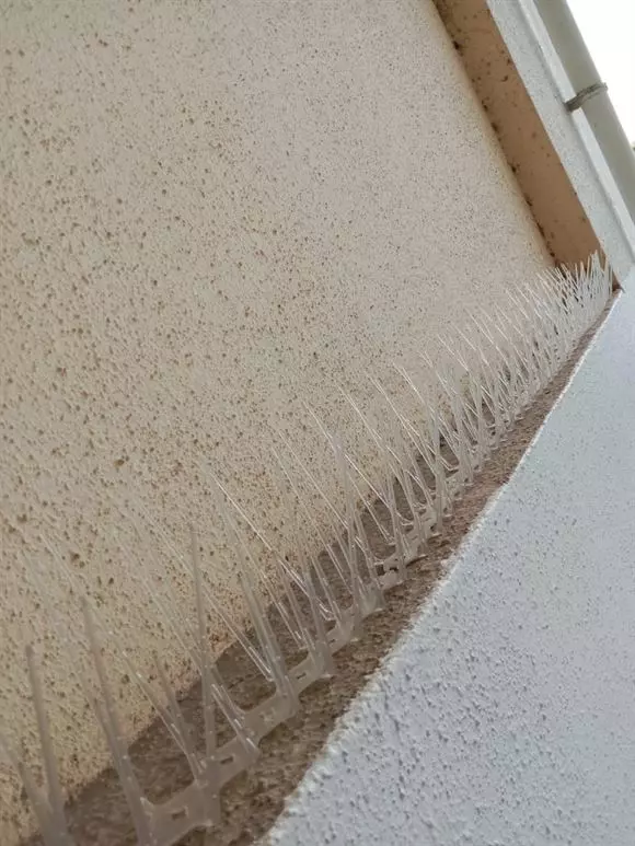 nivedhika safety nets ghorpadi in pune - Photo No.34