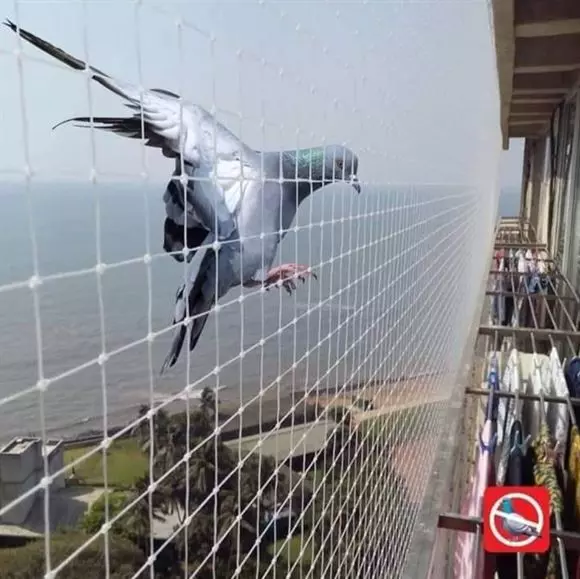 nivedhika safety nets ghorpadi in pune - Photo No.28