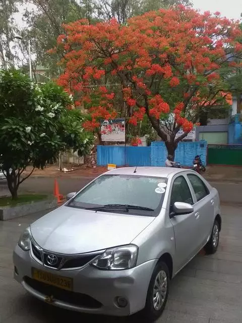raichur taxi 24 7 rr colony in raichur - Photo No.5
