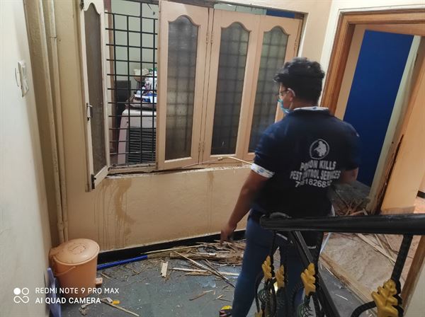 poison kills pest control chilkalguda in hyderabad - Photo No.8