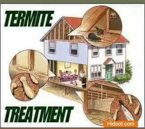 sun shine pest control services near kodad in suryapet - Photo No.9