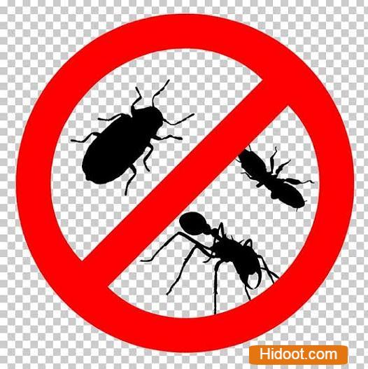sun shine pest control services near kodad in suryapet - Photo No.1