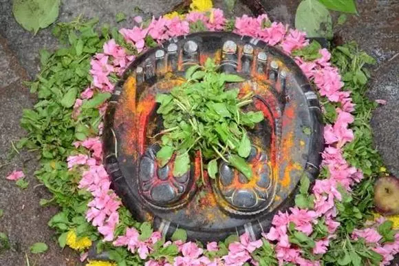 leepsika tours and travels nandi circle in tirupati - Photo No.23