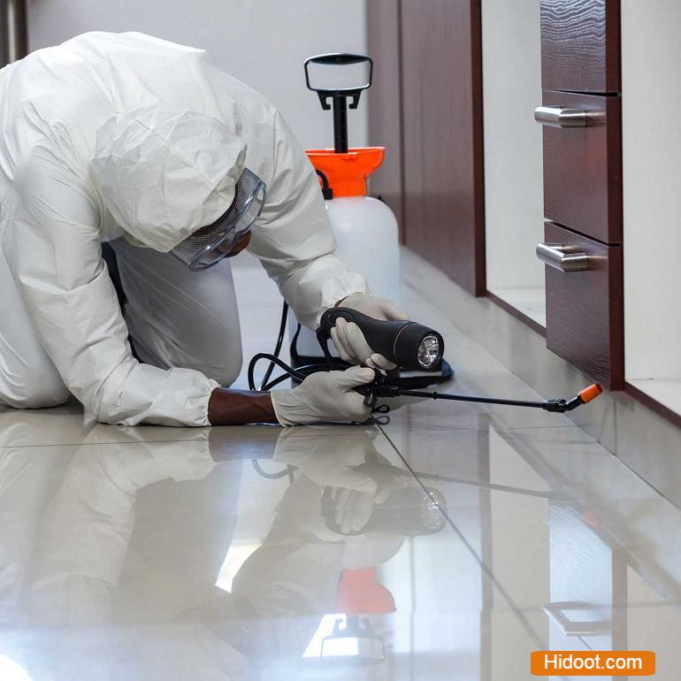 professional pest control inc pest control services near nimmakayala street in tirupati - Photo No.10