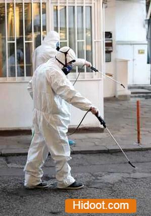 professional pest control inc pest control services near nimmakayala street in tirupati - Photo No.5