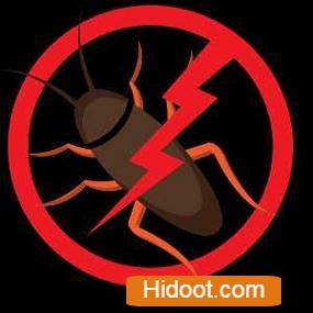 professional pest control inc pest control services near nimmakayala street in tirupati - Photo No.1