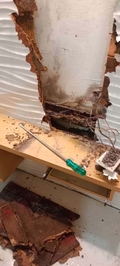 nandini pest control ramavarapadu in vijayawada - Photo No.8