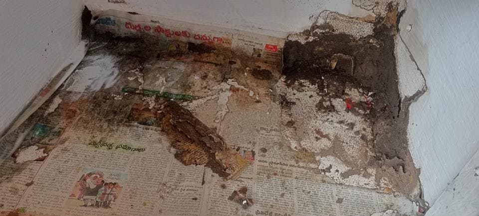 nandini pest control ramavarapadu in vijayawada - Photo No.7