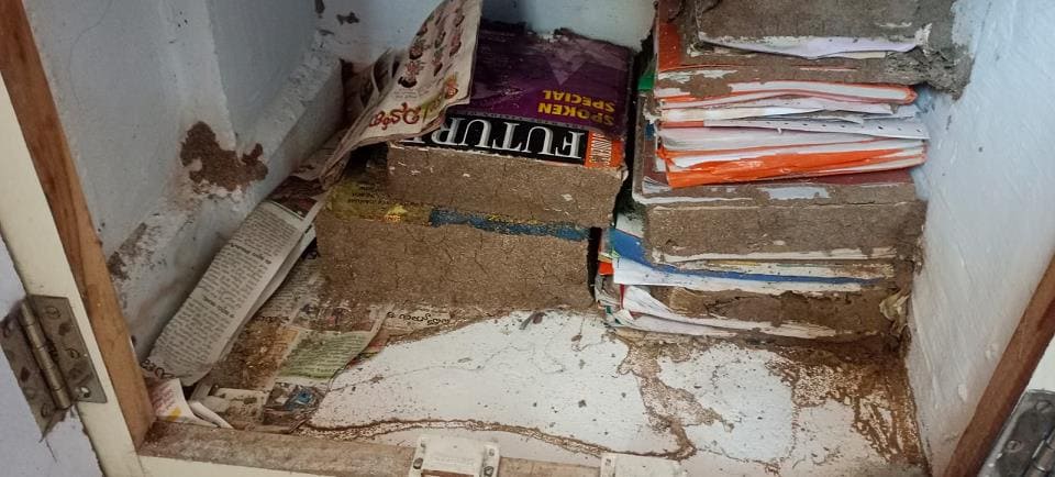 nandini pest control ramavarapadu in vijayawada - Photo No.6