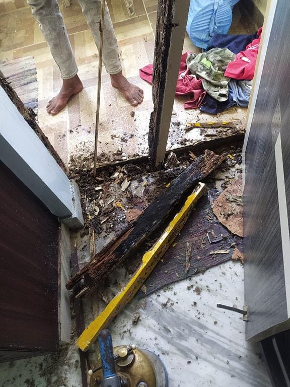 nandini pest control ramavarapadu in vijayawada - Photo No.4