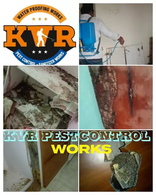 kvr pest control and water proofing works purnanandampet in vijayawada - Photo No.10