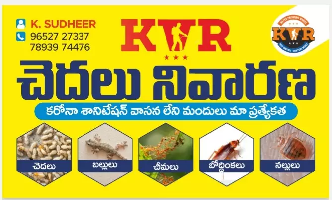 kvr pest control and water proofing works purnanandampet in vijayawada - Photo No.9