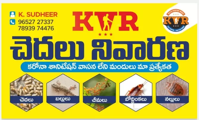 kvr pest control and water proofing works purnanandampet in vijayawada - Photo No.17