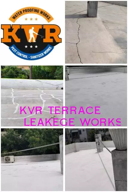 kvr pest control and water proofing works purnanandampet in vijayawada - Photo No.4