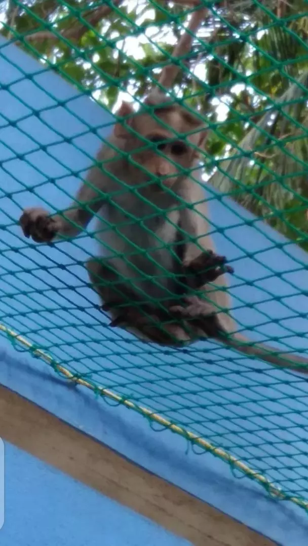 johnson safety nets poranki in vijayawada - Photo No.16