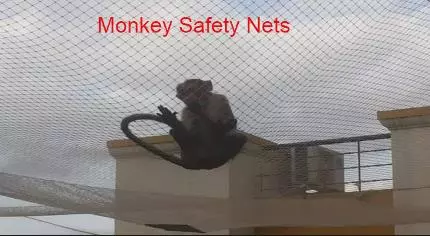 johnson safety nets poranki in vijayawada - Photo No.15
