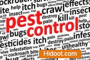 hindustan pest control services vijayawada - Photo No.8