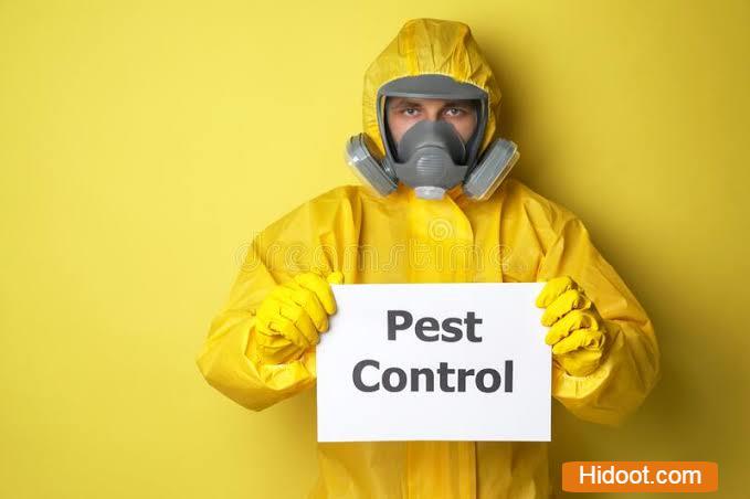 hindustan pest control services vijayawada - Photo No.6