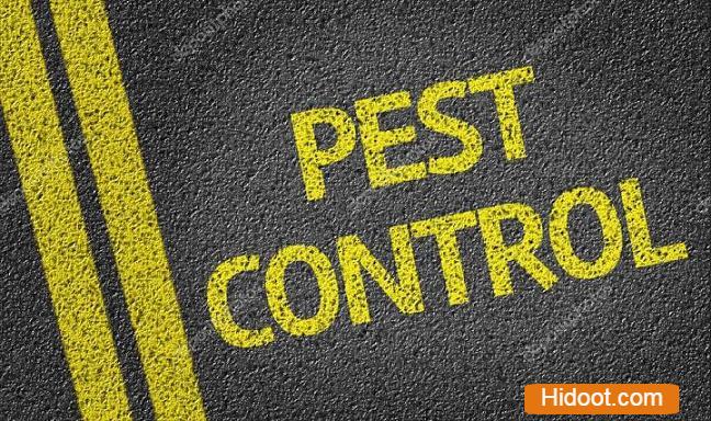 hindustan pest control services vijayawada - Photo No.5