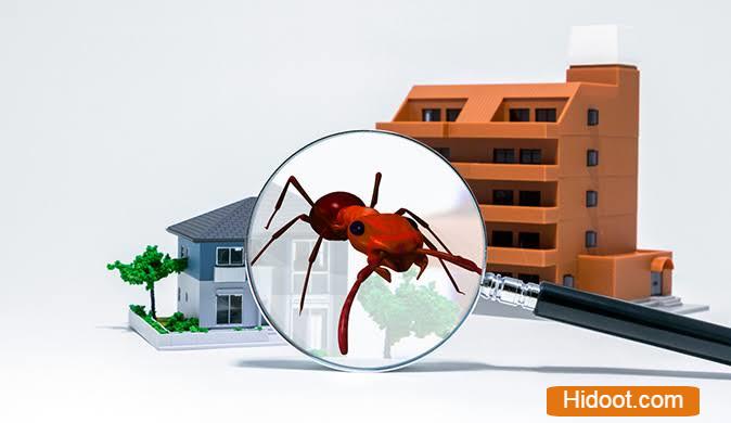 hindustan pest control services vijayawada - Photo No.1