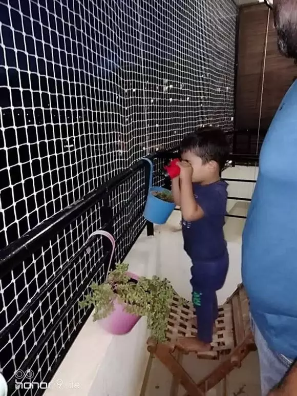 indian safety nets ramalingeswara nagar in vijayawada - Photo No.14