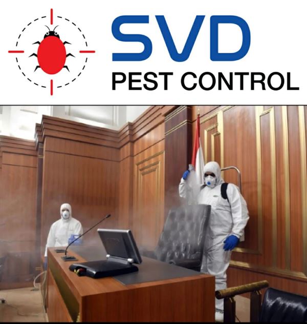 svd pest control mgroad in vijayawada - Photo No.1
