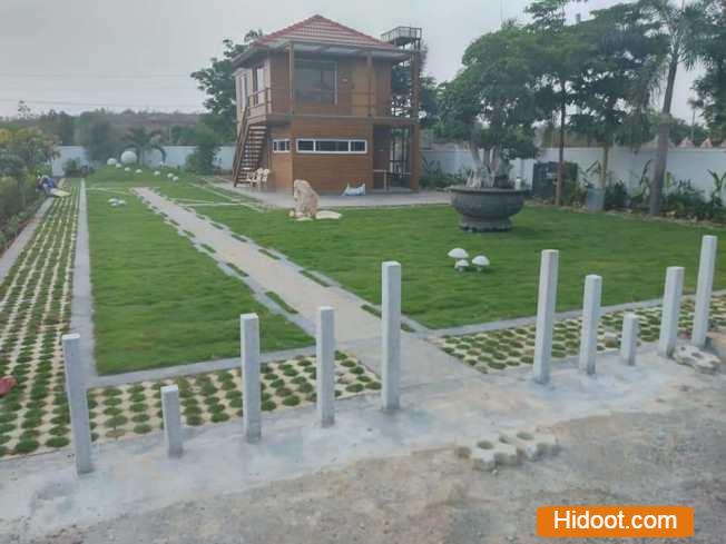 standard plant shopee landscaping gardening iti college in vijayawada andhra pradesh - Photo No.9