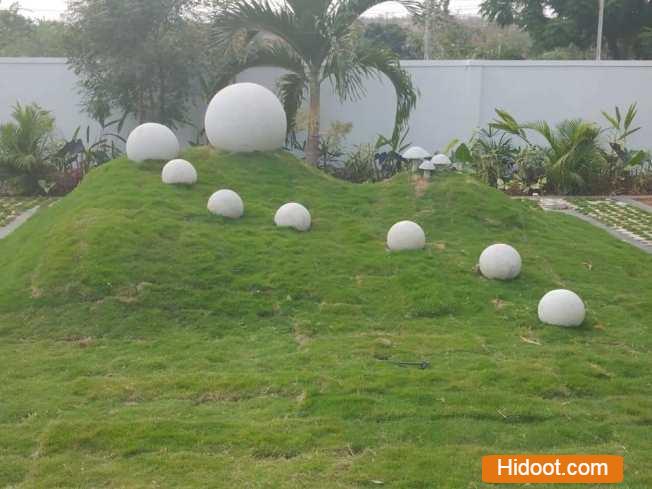 standard plant shopee landscaping gardening iti college in vijayawada andhra pradesh - Photo No.7