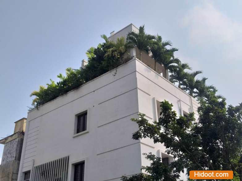 standard plant shopee landscaping gardening iti college in vijayawada andhra pradesh - Photo No.6
