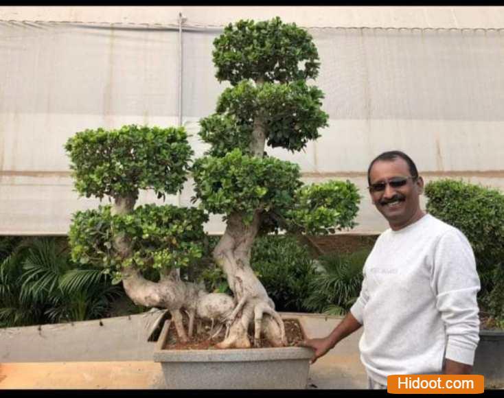 standard plant shopee landscaping gardening iti college in vijayawada andhra pradesh - Photo No.5