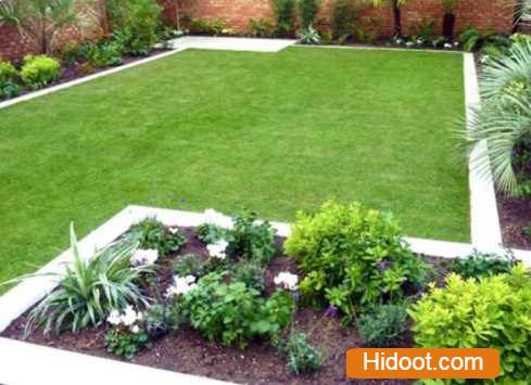 standard plant shopee landscaping gardening iti college in vijayawada andhra pradesh - Photo No.4