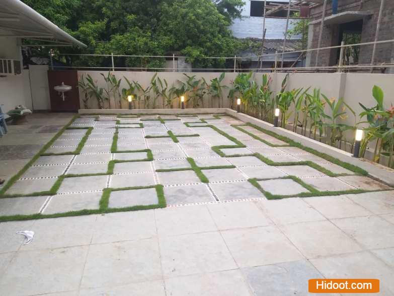 standard plant shopee landscaping gardening iti college in vijayawada andhra pradesh - Photo No.3