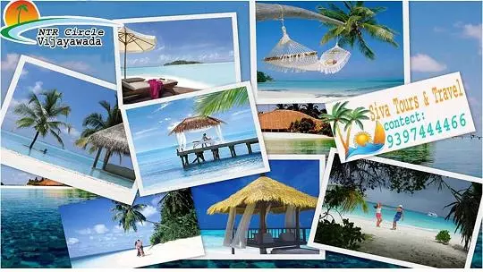 siva tours and travels ramalingeswara nagar in vijayawada - Photo No.12