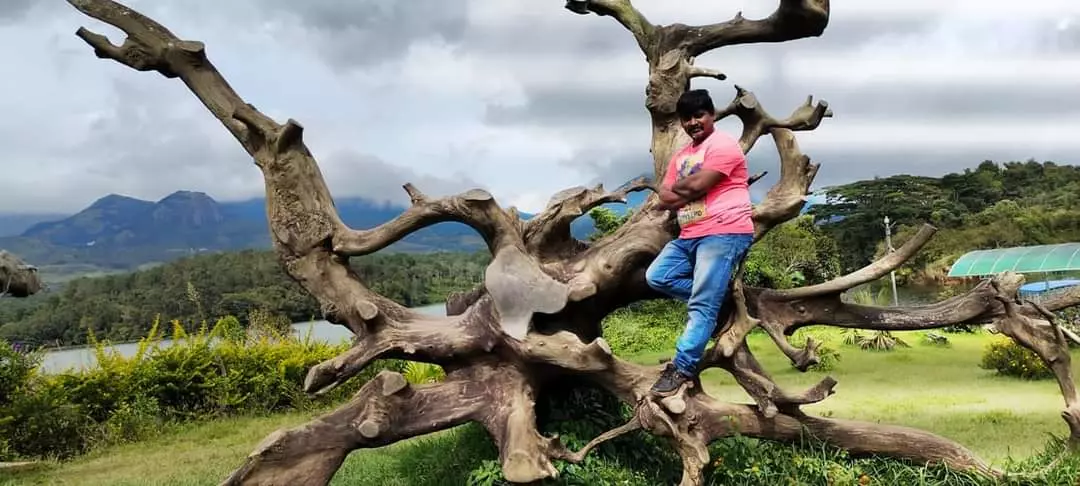 siva tours and travels ramalingeswara nagar in vijayawada - Photo No.15