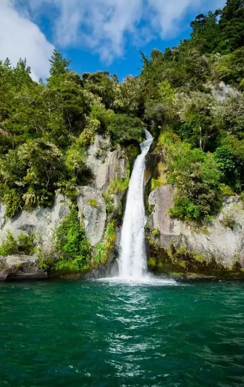 siva tours and travels ramalingeswara nagar in vijayawada - Photo No.22