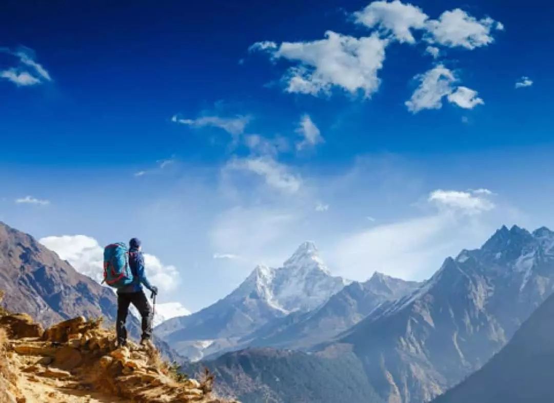 siva tours and travels ramalingeswara nagar in vijayawada - Photo No.30