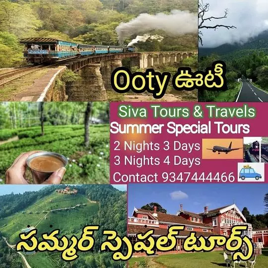 siva tours and travels ramalingeswara nagar in vijayawada - Photo No.35