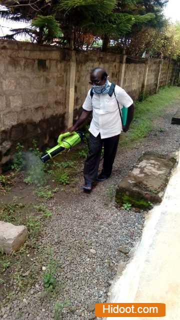 gpm pest control service pest control services near yanamalakuduru in vijayawada - Photo No.9