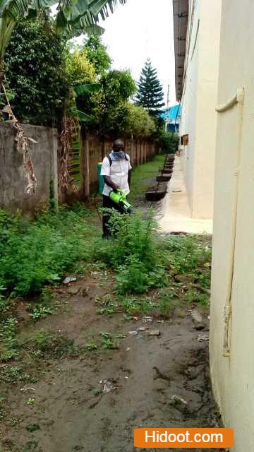 gpm pest control service pest control services near yanamalakuduru in vijayawada - Photo No.8