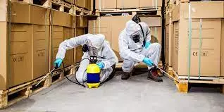 kbr pest control labbipet in vijayawada - Photo No.7