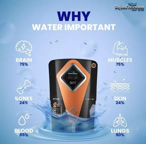 as aqua water purifiers dondaparthy in visakhapatnam - Photo No.30