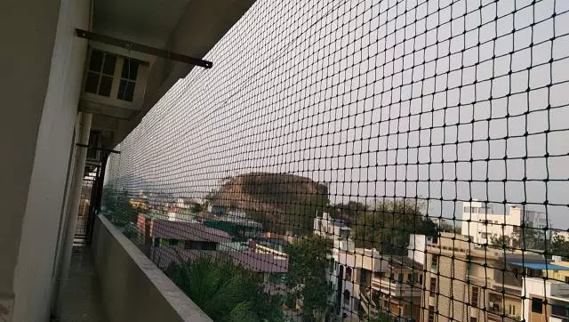 nani pigeon safety nets bus stand in visakhapatnam - Photo No.3