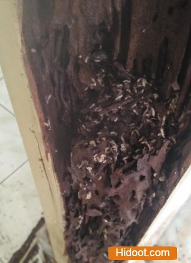 santosh pest control service setammapeta in visakhapatnam - Photo No.7