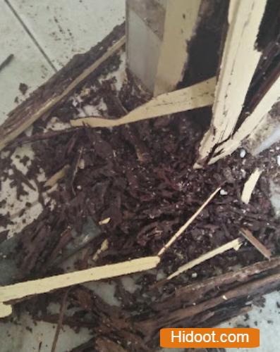 santosh pest control service setammapeta in visakhapatnam - Photo No.6