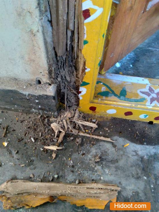 godavari pest control corporation pest control services near seethamadhara in visakhapatnam - Photo No.8