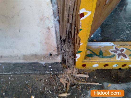 godavari pest control corporation pest control services near seethamadhara in visakhapatnam - Photo No.6