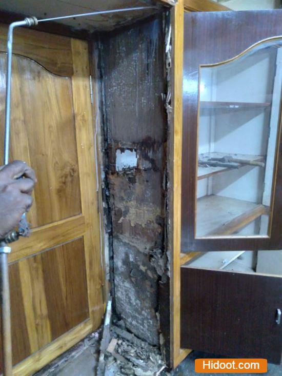 godavari pest control corporation pest control services near seethamadhara in visakhapatnam - Photo No.3