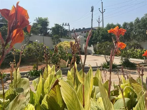 gayathri estates pedawaltair in visakhapatnam - Photo No.7